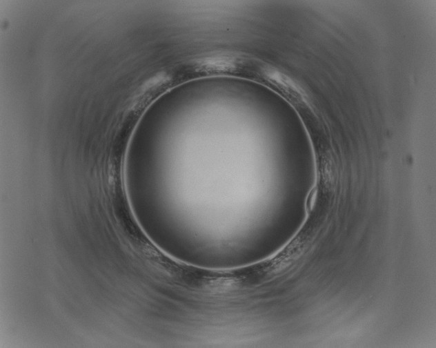 X0000072990551200607211201