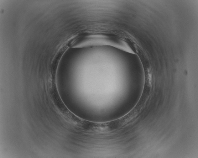 X0000072990552200607211201