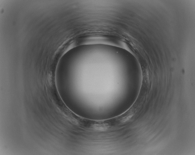 X0000072990556200607211201