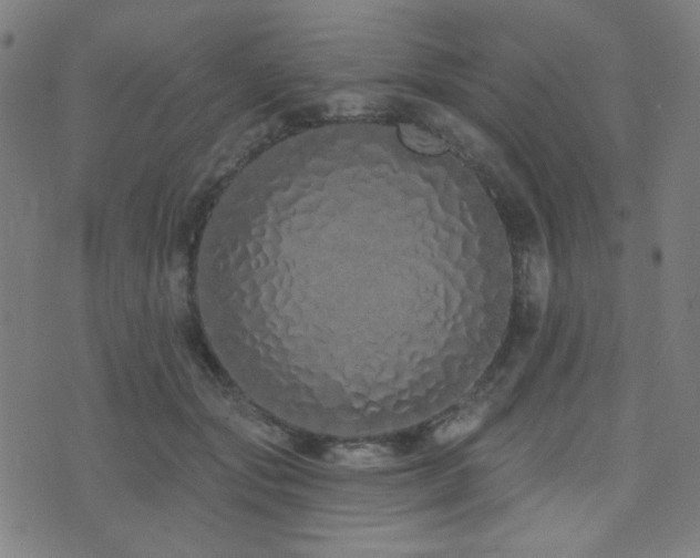 X0000072990557200607211201