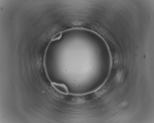 X0000072990559200607211201