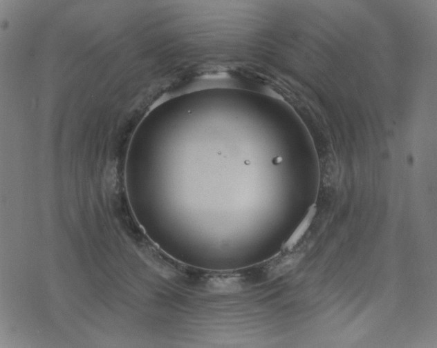 X0000072990560200607211201