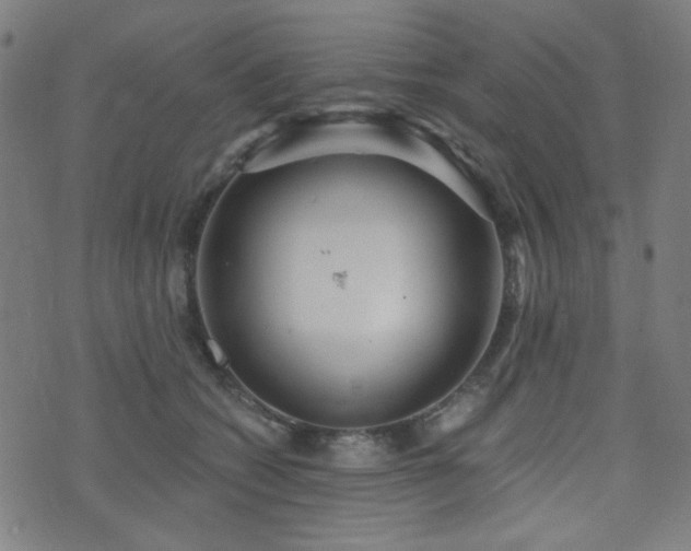 X0000072990562200607211201