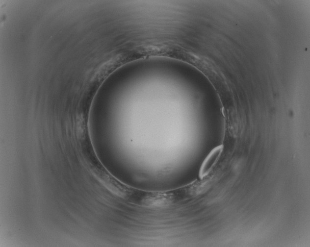 X0000072990563200607211201