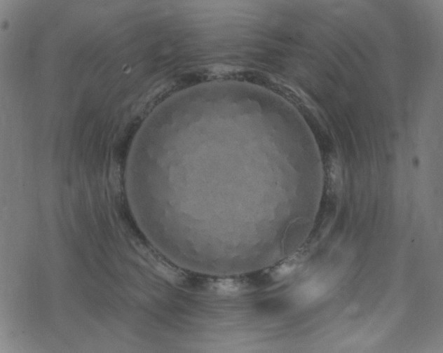 X0000072990565200607211202