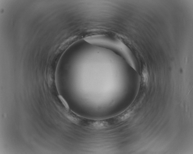 X0000072990566200607211202