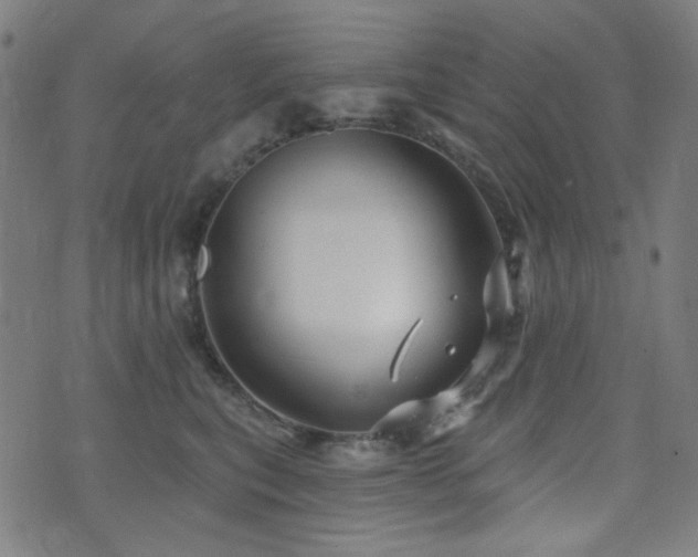 X0000072990567200607211202