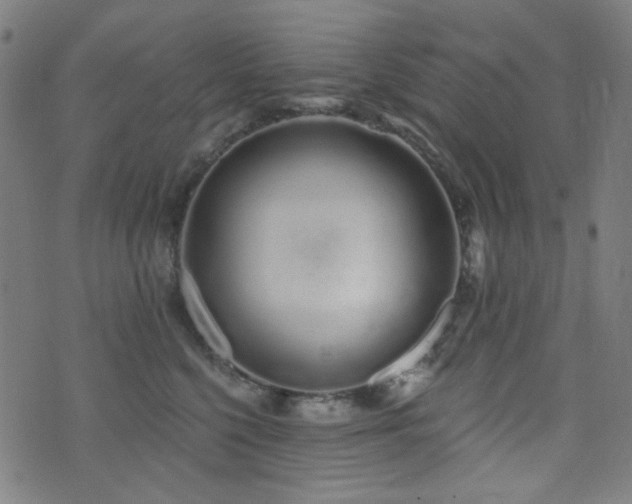 X0000072990568200607211202