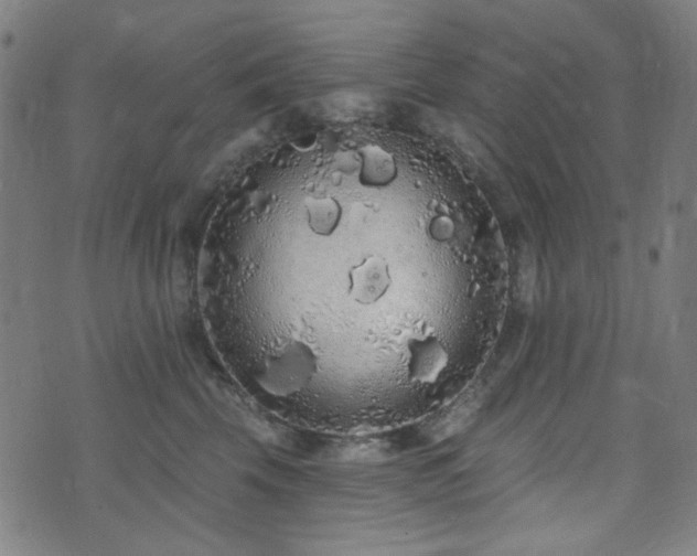 X0000072990569200607211202