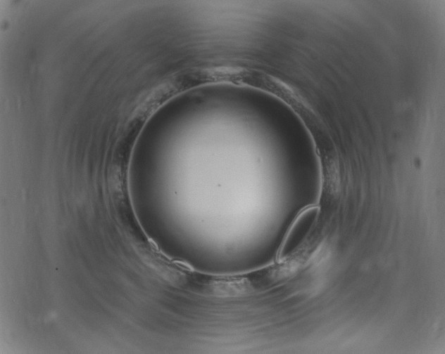 X0000072990571200607211202