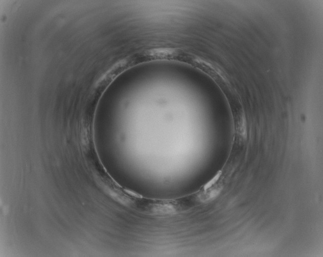 X0000072990572200607211202