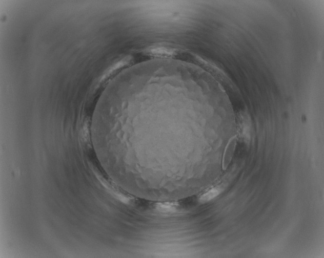 X0000072990573200607211202