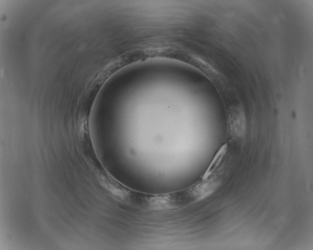 X0000072990574200607211202