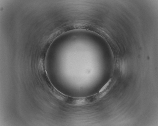 X0000072990575200607211202