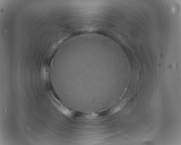 X0000072990576200607211202