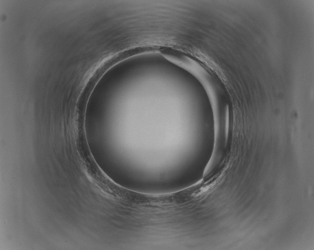 X0000072990580200607211201