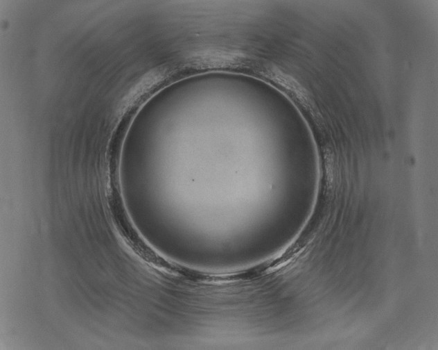 X0000072990582200607211201