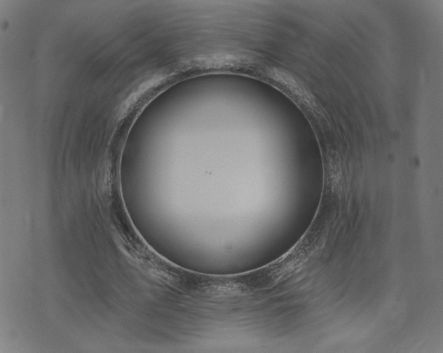 X0000072990583200607211201