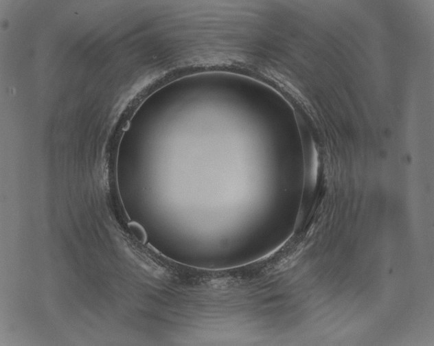 X0000072990584200607211201