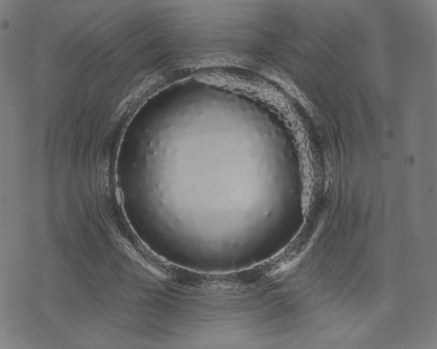 X0000072990585200607211201