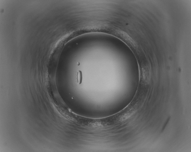 X0000072990588200607211201