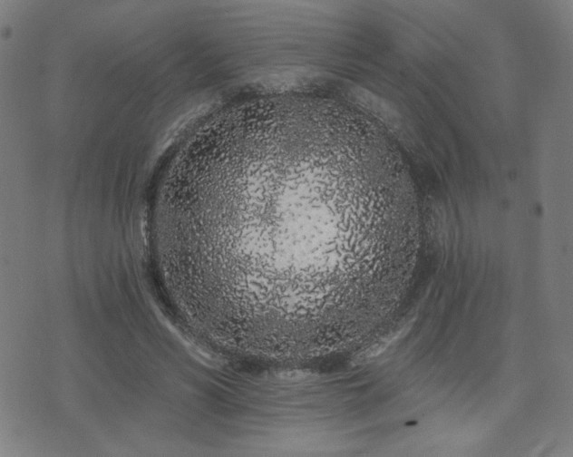 X0000072990590200607211201