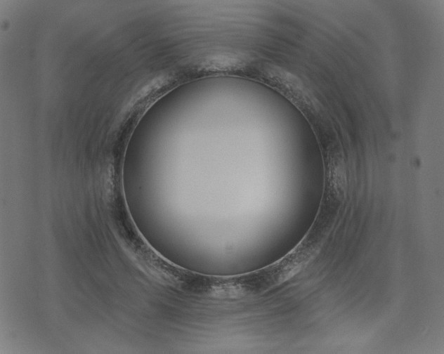 X0000072990591200607211201