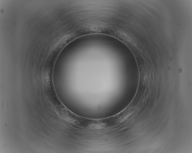 X0000072990595200607211201