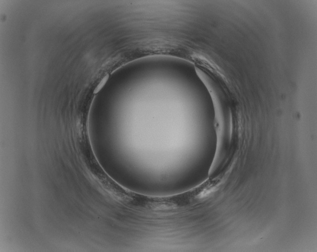 X0000072990597200607211201