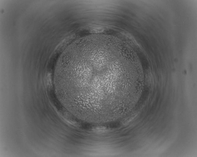 X0000072990598200607211201