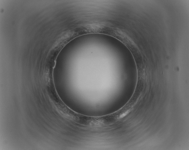 X0000072990599200607211201