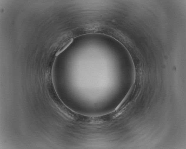 X0000072990601200607211200