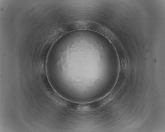 X0000072990602200607211200