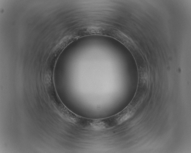 X0000072990603200607211200