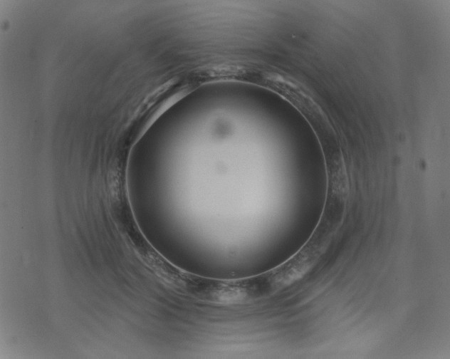 X0000072990604200607211200