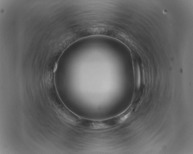 X0000072990605200607211200