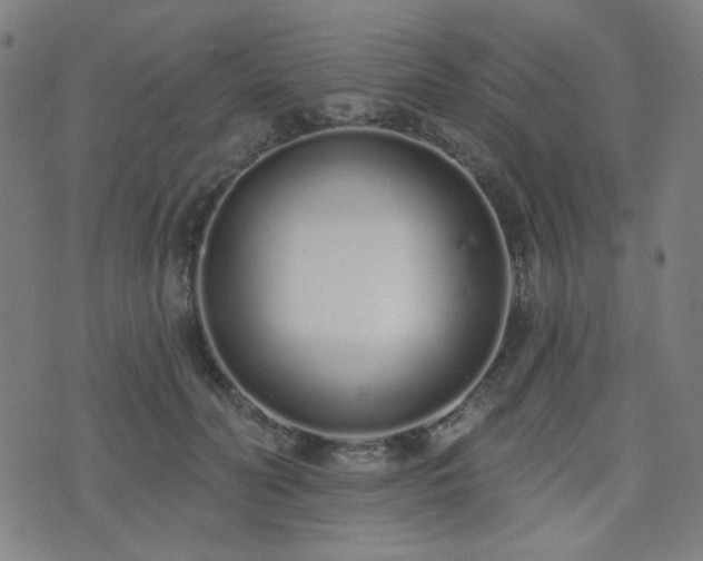 X0000072990606200607211200