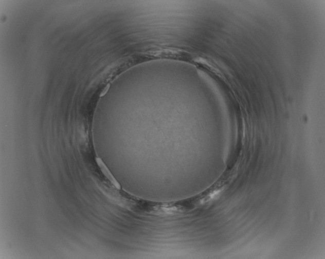 X0000072990607200607211200