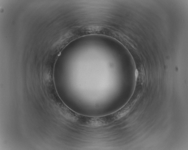 X0000072990608200607211200