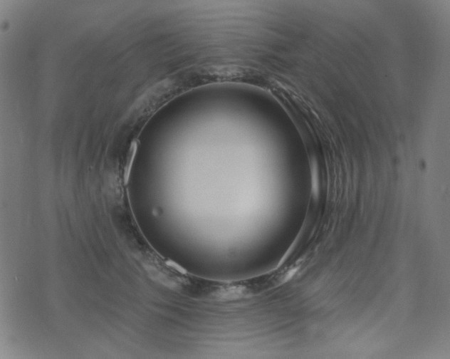 X0000072990609200607211200