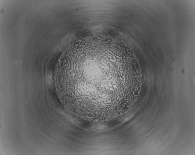 X0000072990610200607211200