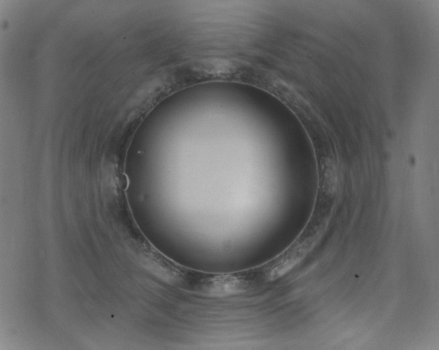 X0000072990612200607211200