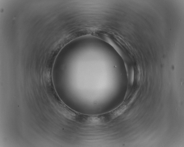 X0000072990613200607211200