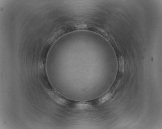 X0000072990614200607211200