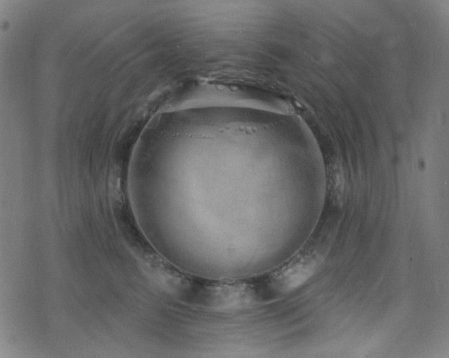 X0000072990615200607211200