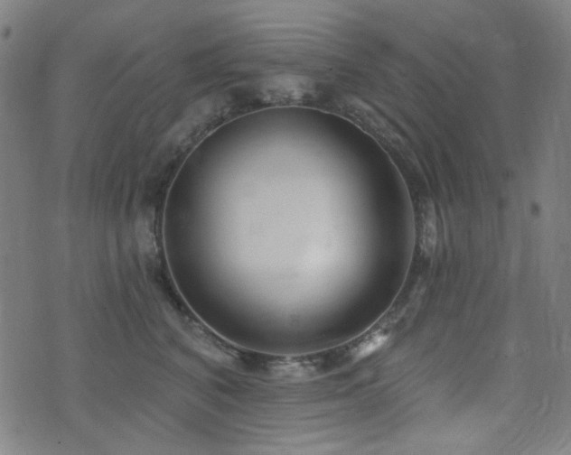 X0000072990616200607211200