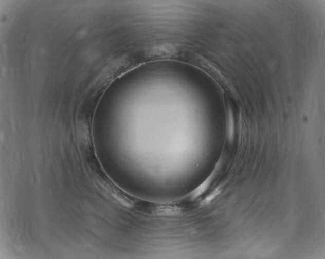 X0000072990617200607211200