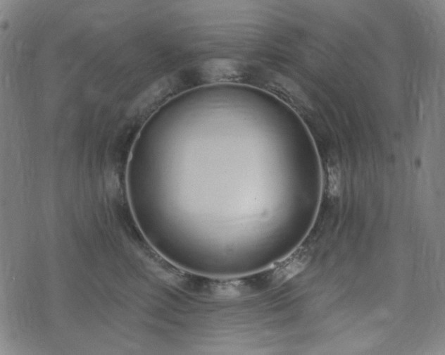 X0000072990618200607211200