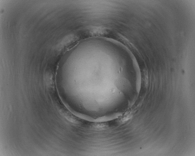 X0000072990619200607211200