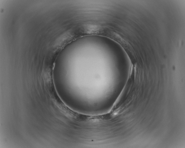 X0000072990620200607211200